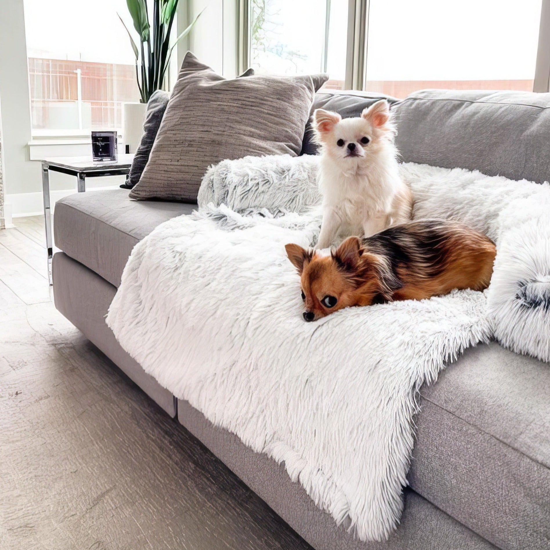 Calming Furniture Cover
