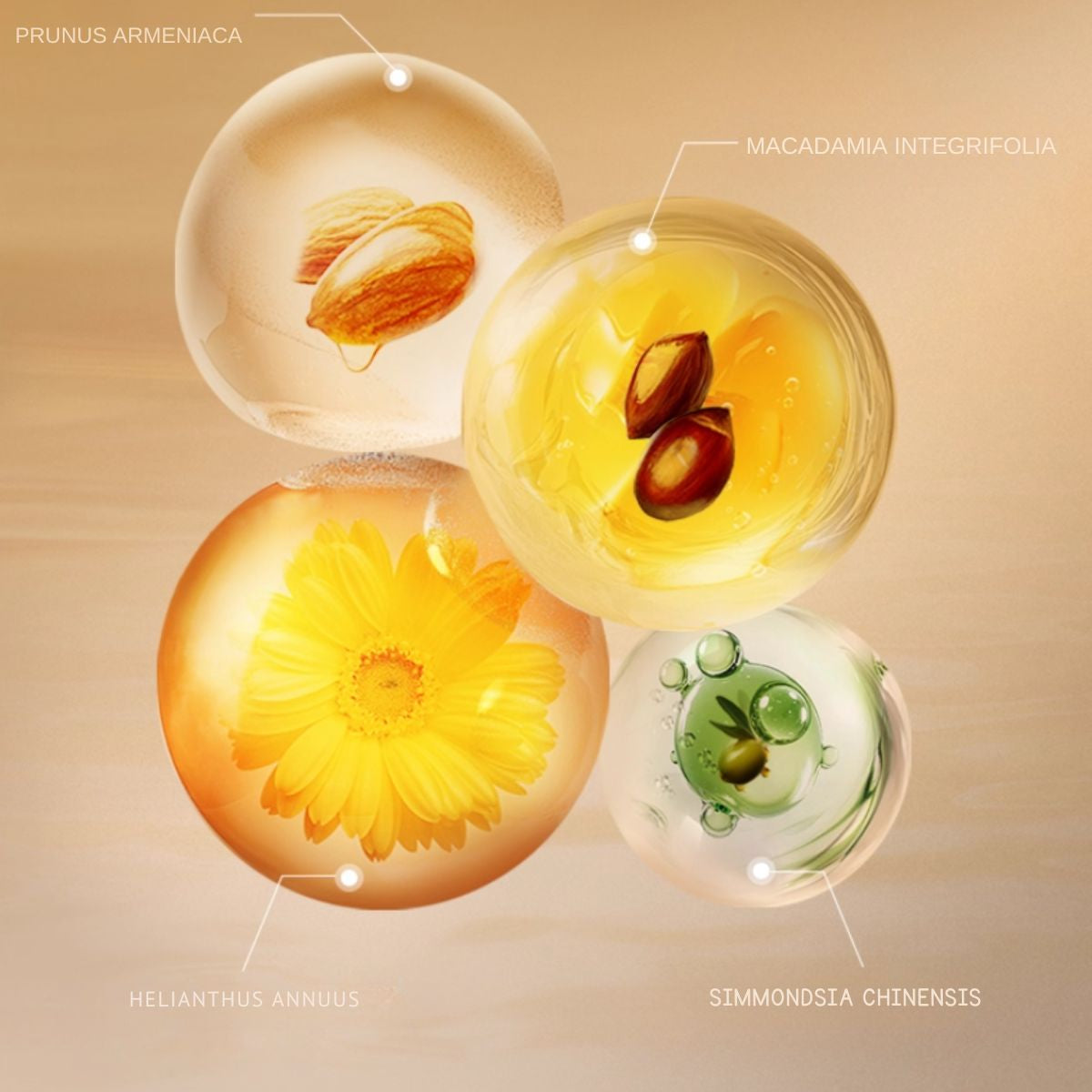 Pier Auge Multi-Action Cleansing Oil 198ml