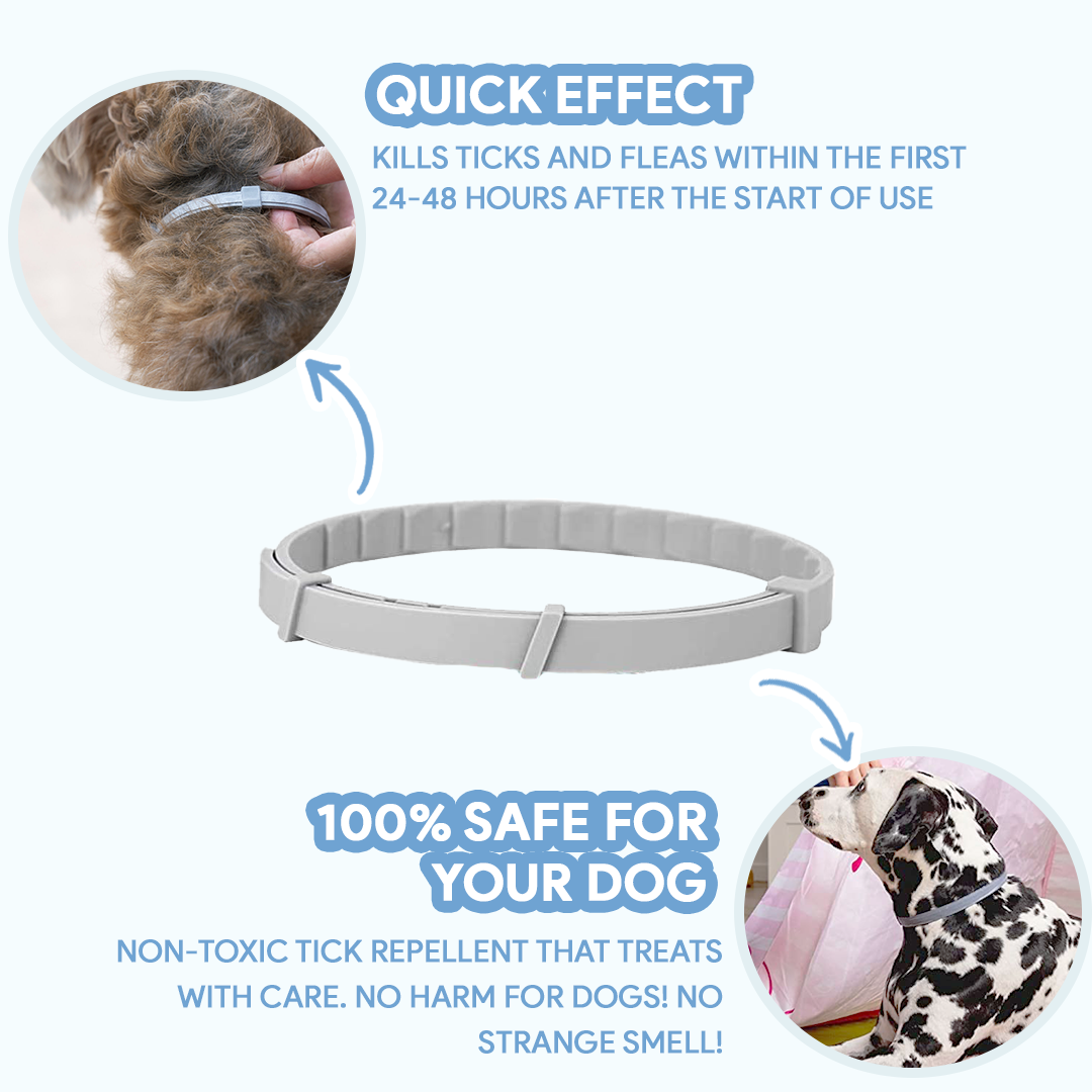 AntiTickCollar⢠V.2. - Flea and tick repellent for up to 8 months!