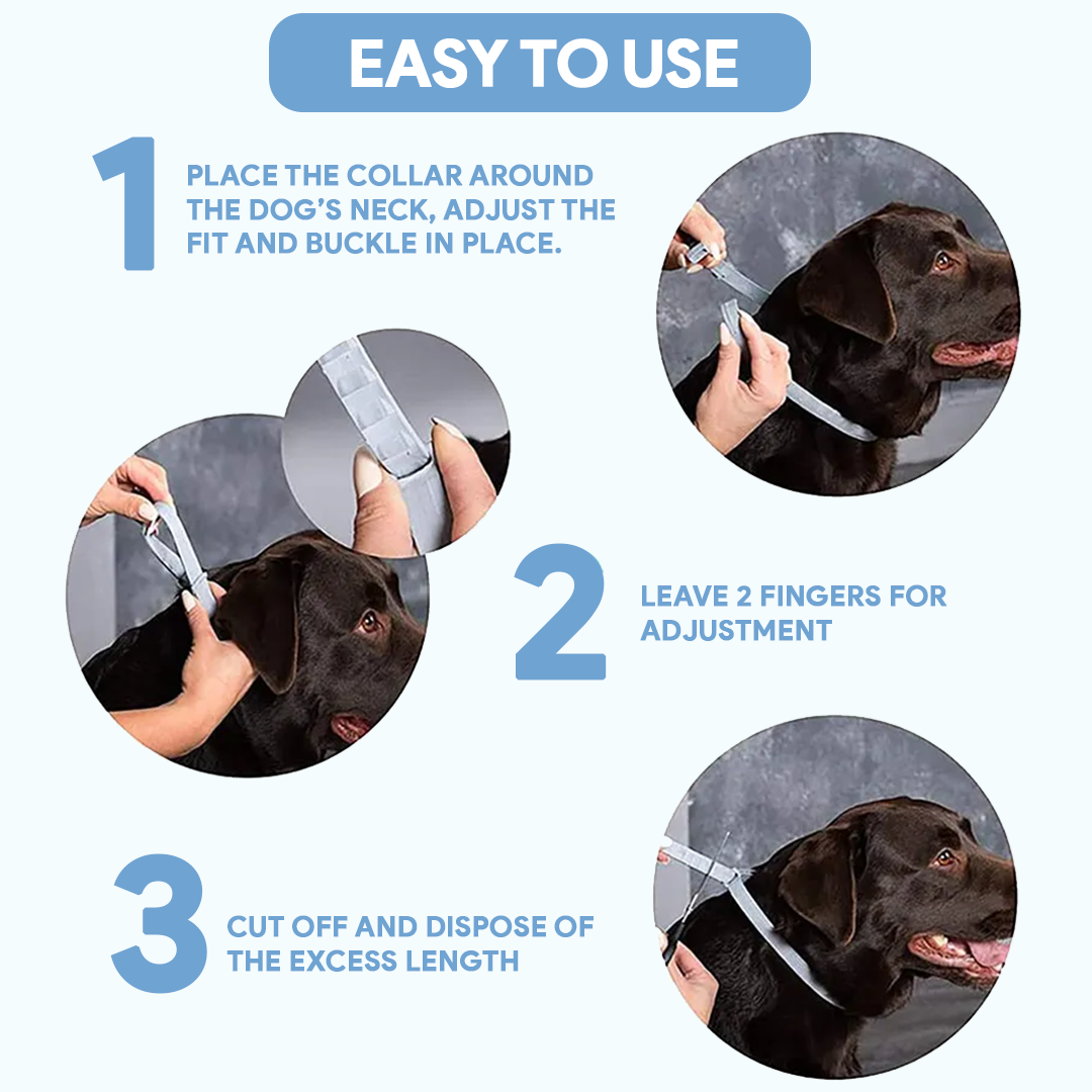 AntiTickCollar⢠V.2. - Flea and tick repellent for up to 8 months!