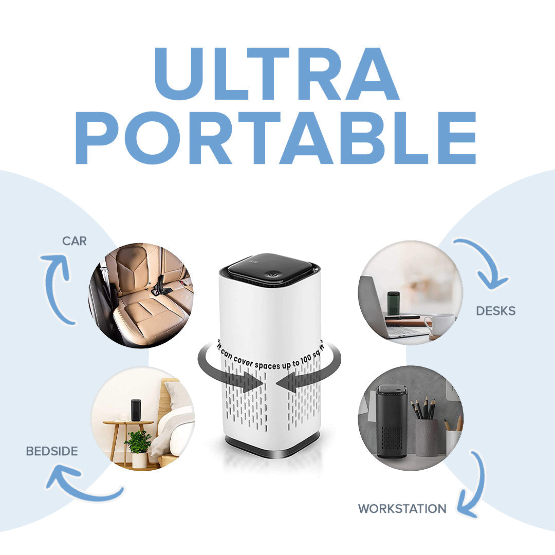 Pet Air Purifier