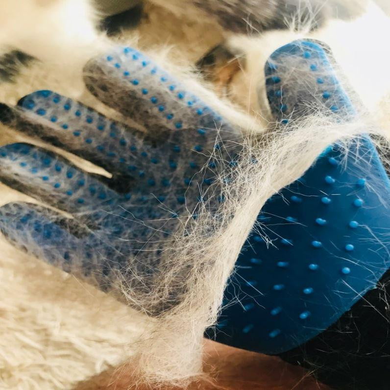 Grooming Pet Glove