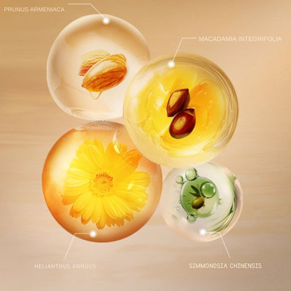 Pier Auge Multi-Action Cleansing Oil 198ml