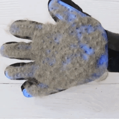Grooming Pet Glove
