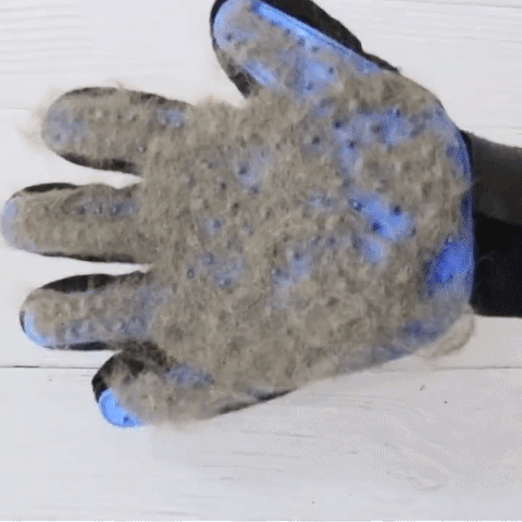 Grooming Pet Glove