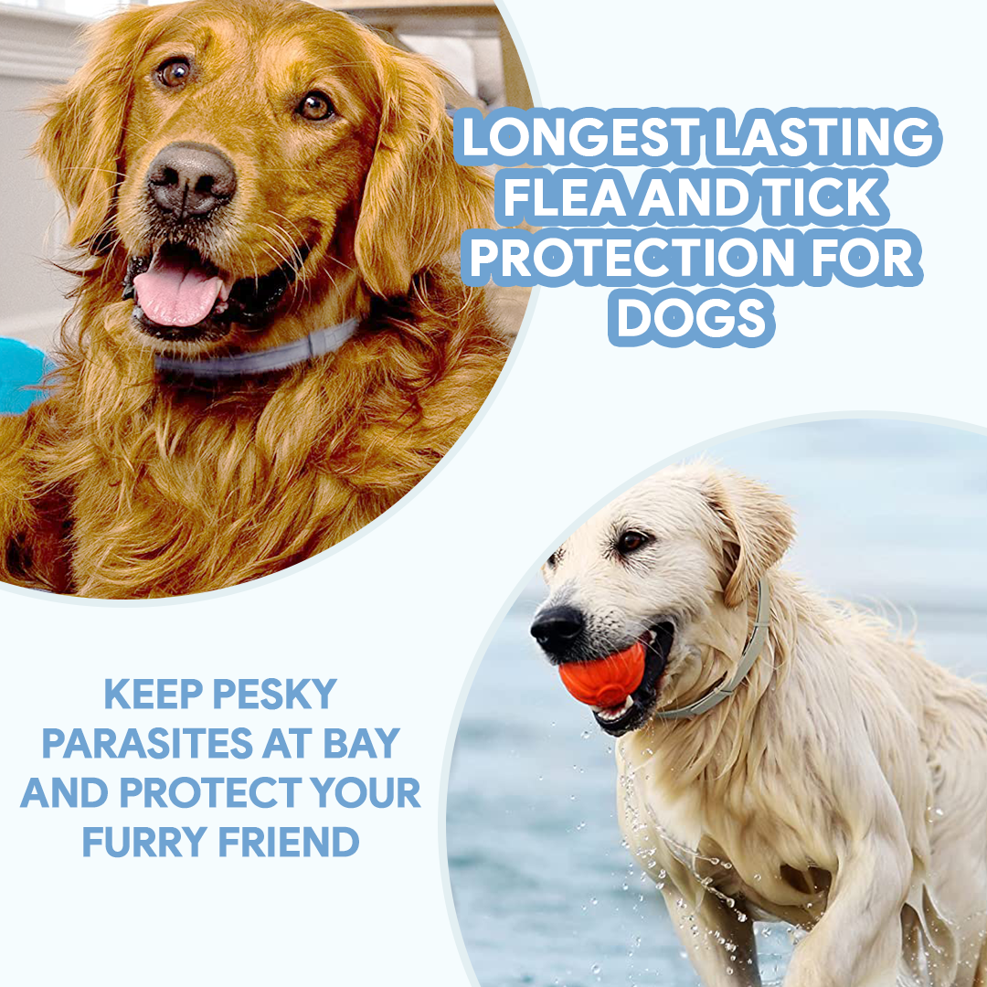 AntiTickCollar™ V.2. - Flea and tick repellent for up to 8 months!